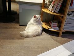 -小时光咖啡馆(开森度假森林店)