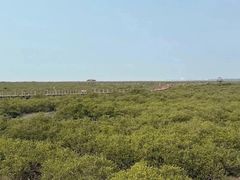 -北海金海湾红树林生态旅游区