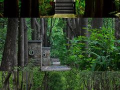 -同里国家湿地公园