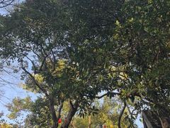 -无锡惠山寺