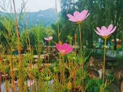 -云蒙山风景区