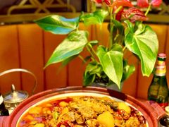 -巴依老爷新疆美食(常营店)