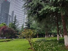 -重庆市江北嘴中央商务区中央公园