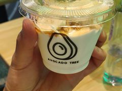 -油梨树AVOCADO TREE(望京店)