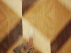 -悦锦轩中餐厅·宴会(合肥滨湖乐富强嘉悦大酒店)