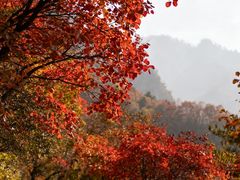 -少华山国家森林公园