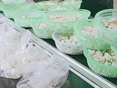 -周震馄饨