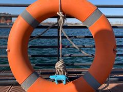 -贝林大翅鲸简餐厅(国家海洋博物馆店)