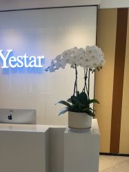 -Yestar艺星医疗美容医院