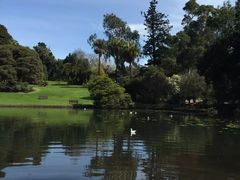 -墨尔本皇家植物园