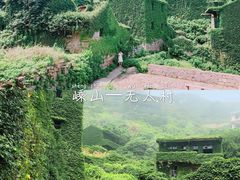 -枸杞岛