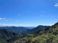 -大岭沟猕猴桃谷风景区