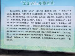 -紫金山山顶公园
