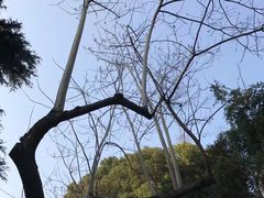 -上海市龙华烈士陵园