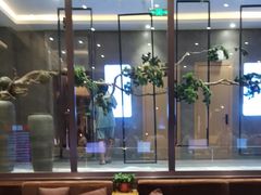 -星河湾温泉洗浴酒店