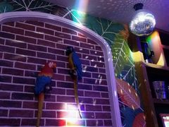 -米乐星世界KTV