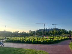 -春花秋色城市公园