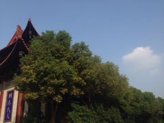 -高旻寺