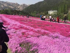 -昆嵛山石门里景区