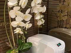 -Dragonfly悠庭·按摩Spa(浦东嘉里城店)