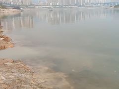 -颜氏双江清水鱼一养身火锅(磁器口店)