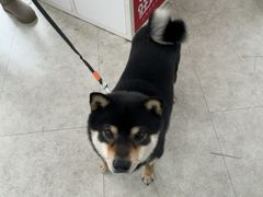 -纳吉亚猫专科动物医院·北北分院