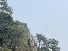 -缙云山景区