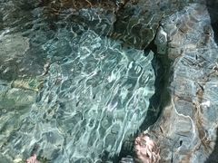 -水善汤泉休闲酒店(欣欣嘉园店)
