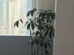 -曼朗心理咨询·旗舰店