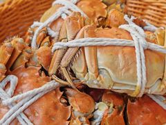 -蟹村草堂·苏式园林人文农家·大闸蟹