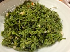 清炒大理海菜-老滇山寨•云南特色菜•地方菜•民族风情歌舞表演(金碧店)
