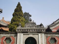 -北京艺术博物馆(万寿寺)
