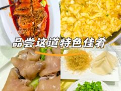-丁老爷子苏香圆
