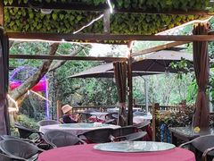 -铁山坪森林公园