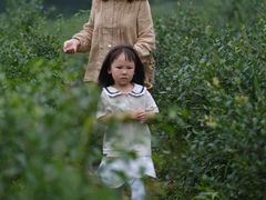 -金谷域澳洲庄园