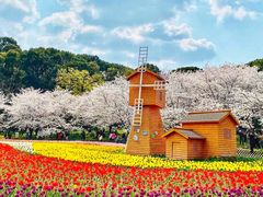 -苏州上方山国家森林公园