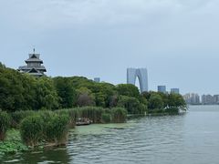 -金鸡湖游船(月光码头)