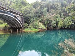-鼎湖山风景区