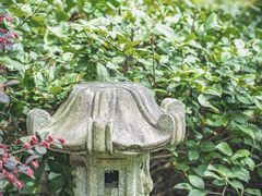 -杭州西湖风景名胜区-三生石