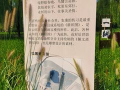 -北坞公园