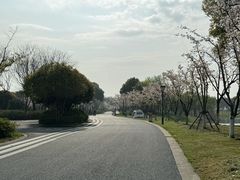 -贡湖湾湿地公园