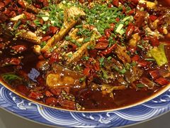 -新概念来凤鱼(璧山店)