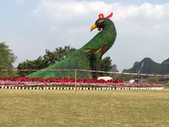-南宁花花大世界景区