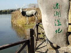 -溱湖国家湿地公园