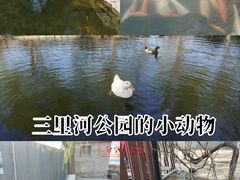 -三里河公园