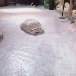 -酷嗒动物文化乐园(cutezoo西溪乐天城店)