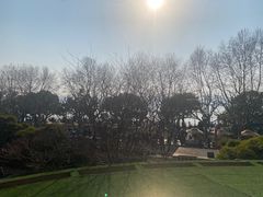-杭州君悦酒店