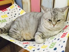 -小时光咖啡馆(开森度假森林店)