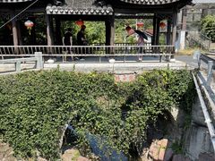 -四明山国家森林公园