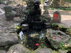 -海口火山口国家地质公园